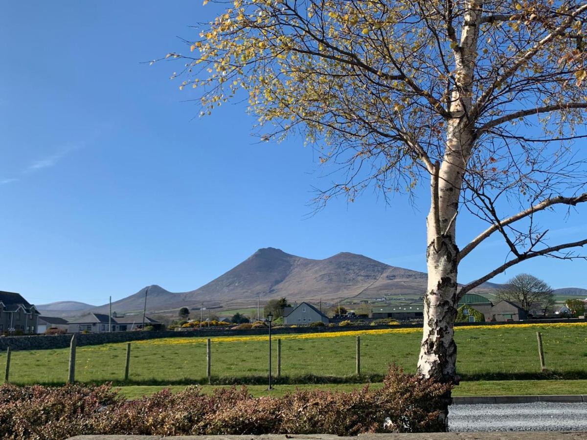 Lovely 2-Bed Cottage At The Foot Of The Mournes Newry Exterior photo