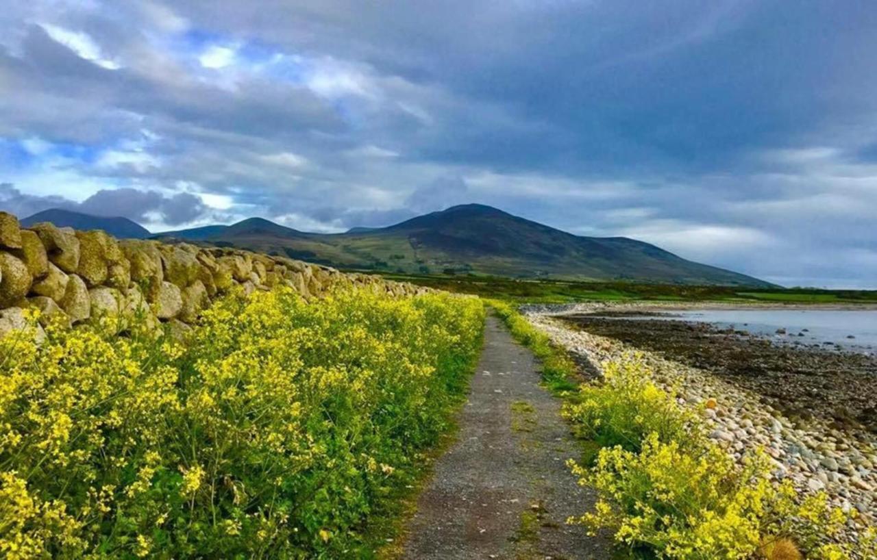 Lovely 2-Bed Cottage At The Foot Of The Mournes Newry Exterior photo